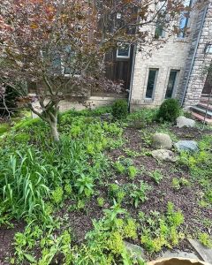 Gardening Services in Ann Arbor, MI