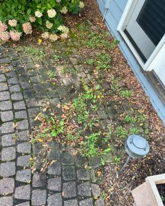 Pressure Washing in Ann Arbor, MI
